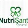 Logo NutriSanté Conseil
